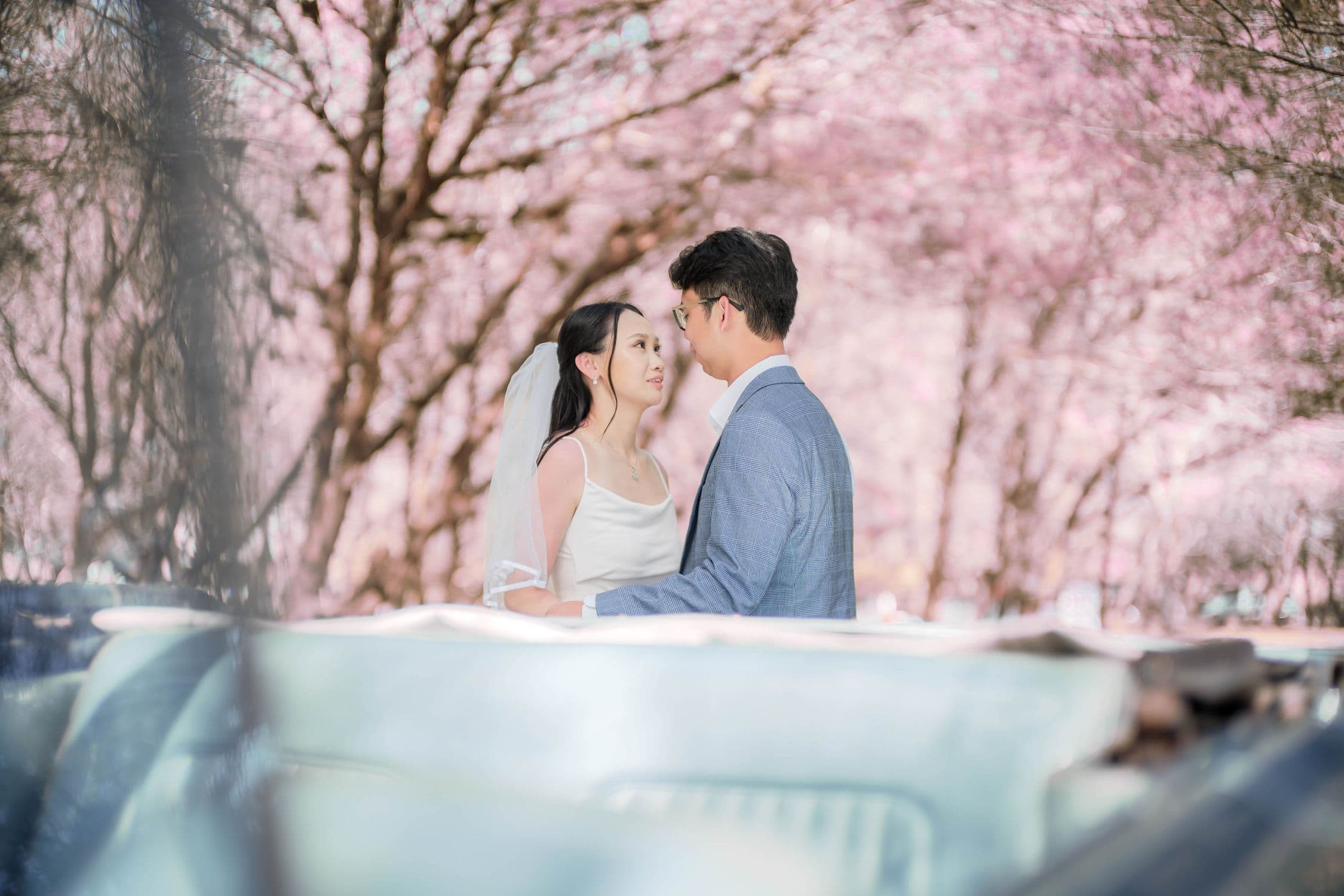 Trevor and Catharine gallery photo 5